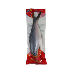 SANTA CRUZ Milkfish - Whole GUTTED 600-800 IQF IVP